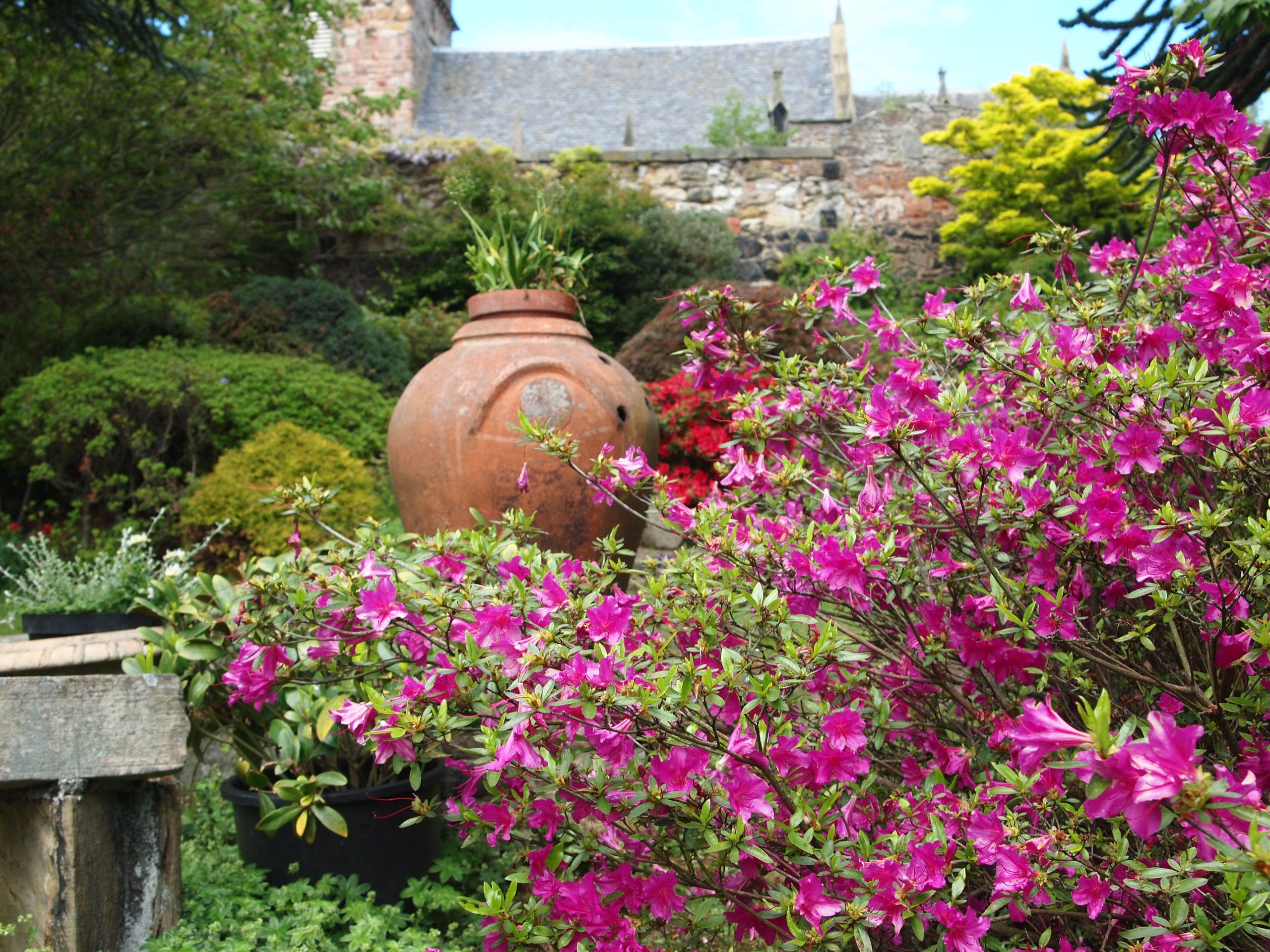 Englische Garten Cottages Rosen Rhododendron British Travel Magazin